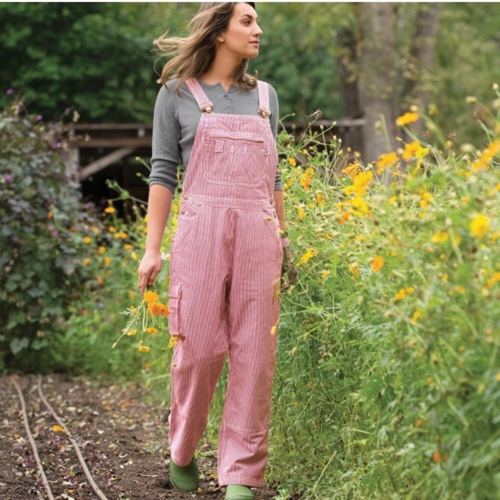 Duluth Company railroad stripe overall shorts